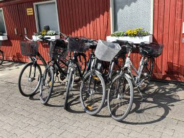 Kranencamp-Leihfahrräder: Damen-Fahrräder